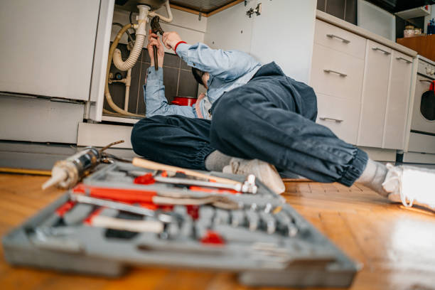 Best Local Plumber Services  in Orange City, FL